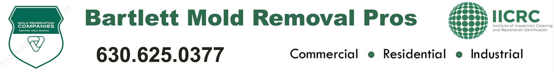 Bartlett Mold Removal Pros